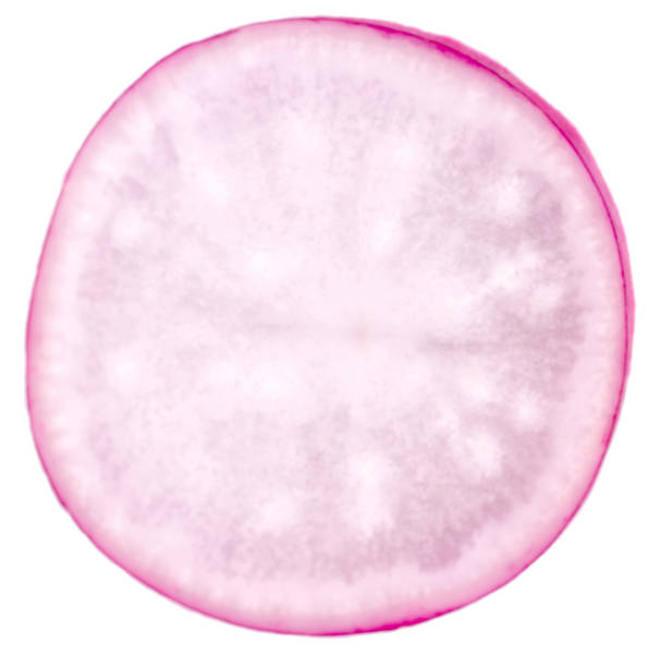 istock Slice of radish 1219500177