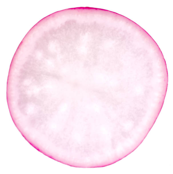 istock Slice of radish 1219500198