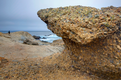 Point Lobos, at California coast.