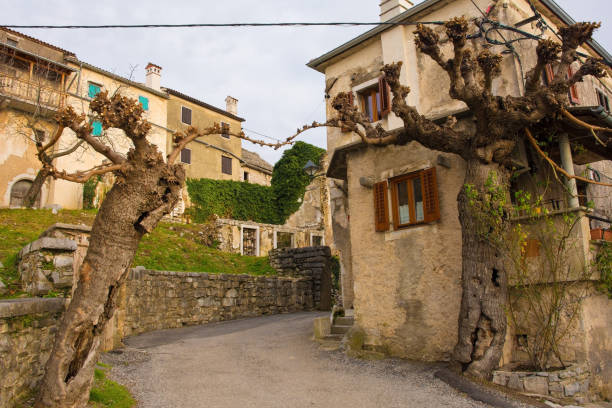 istock Street in Stanjel 1219504350