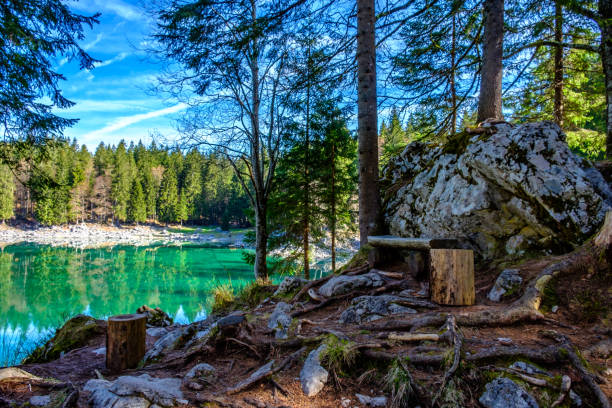istock Spring morning at the alpine lake 1219504447
