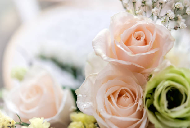 istock Bouquet of fresh roses, flower bright background 1219504475
