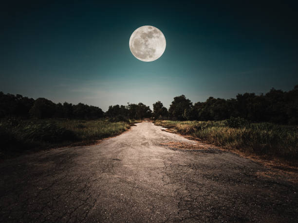 Landscape of night sky and bright full moon above wilderness area. Asphalt road leading into the forest at night. stock photo