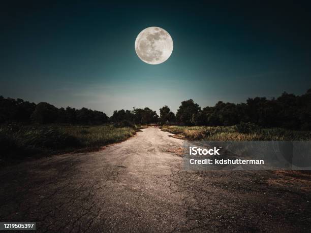 Landscape Of Night Sky And Bright Full Moon Above Wilderness Area Asphalt Road Leading Into The Forest At Night Stock Photo - Download Image Now
