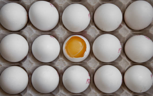 istock Close up view of raw chicken eggs in a box 1219506982