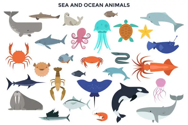 Vector illustration of Vector Set of Water and Ocean Animals