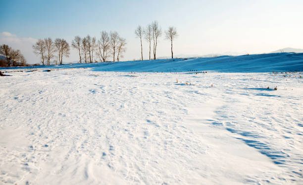 A photo of winter landscape in Danmak