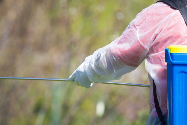 istock Coronavirus disinfection. Worker in hazmat making disinfection in public park 1219515621