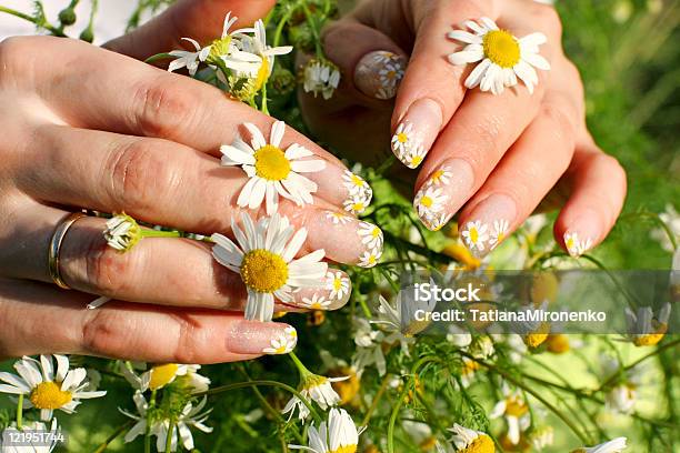 Foto de Nail Art Design e mais fotos de stock de Margarida - Família da Margarida-dos-Campos - Margarida - Família da Margarida-dos-Campos, Unha, Camomila Romana