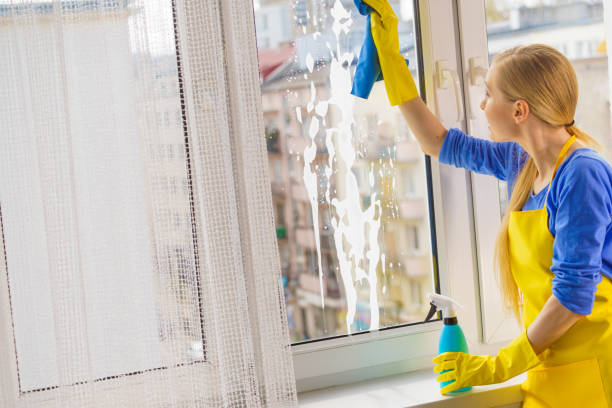 istock Woman cleaning window at home 1219521920