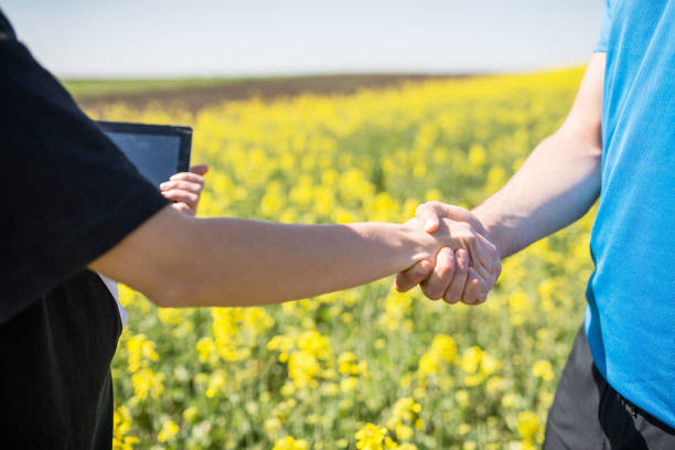 istock Two young agronomists have successfully arranged a field job and are shaking hands. Successful agreement on rapeseed production. 1219521942