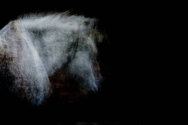 New Forest Ponies Abstract Series