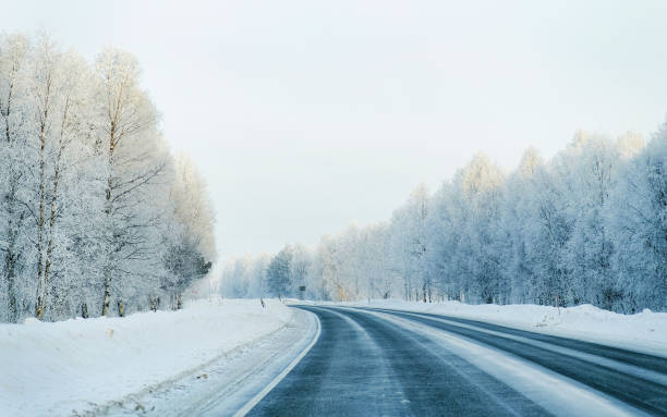 istock Winter road and a Snowy Forest at Cold Finland 1219523087