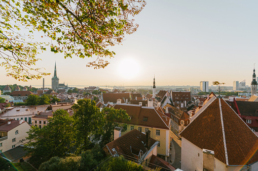 Scenic view of Tallinn old town in the morning from above
