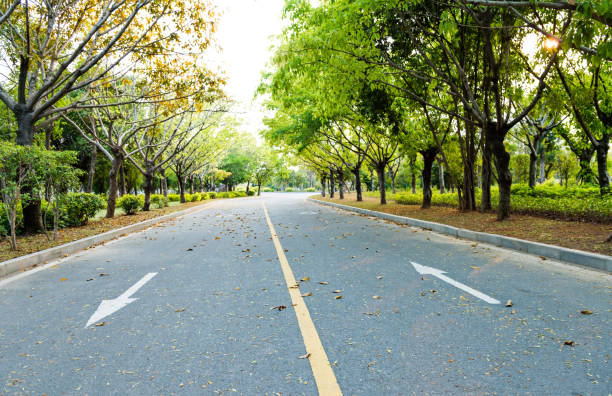 istock Asphalt highway with arrow sign 1219524815