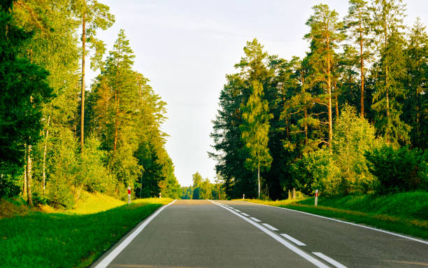 istock Scenery of road at forest in Poland 1219525626