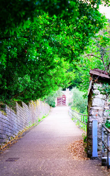 istock Landscape with pathway in Arco town on Garda Lake 1219525730