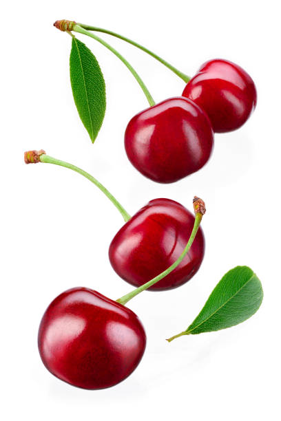 istock Cherries isolate. Falling cherries with leaves on white. Sour cherry. 1219527197