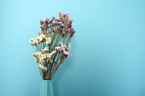 istock Dried flowers in a blue vase against a blue background 1219528611