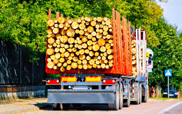 istock Wood carrier vessel in road in Poland 1219528790
