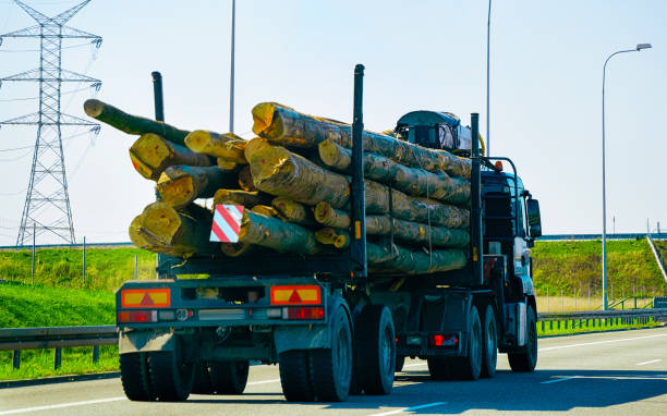 폴란드 고속도로 도로의 목재 캐리어 선박 - lumber industry truck truck driver log 뉴스 사진 이미지