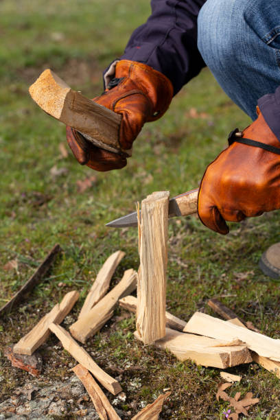 istock splitting wood with a bushcraft knife 1219530713