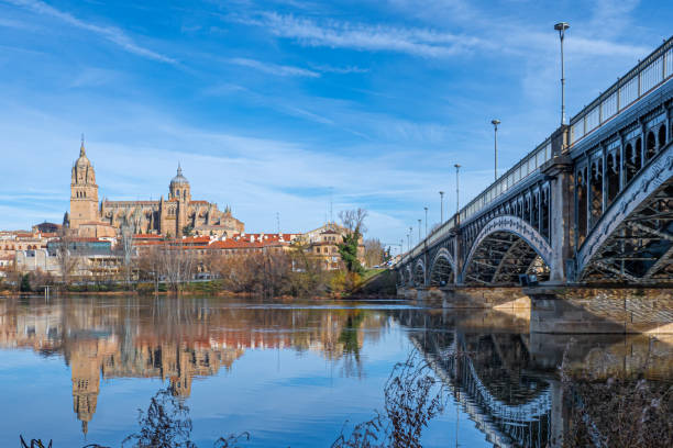 istock Salamanca cathedral with reflection on the river 1219531880