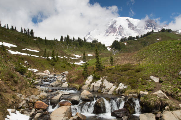 istock Mount Rainier National Park 1219534913