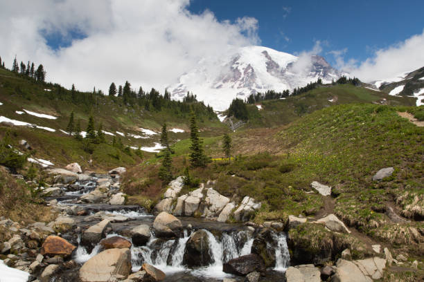 istock Mount Rainier National Park 1219534974
