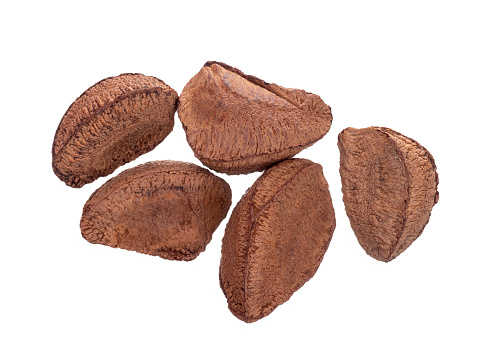Studio shot of brazil nuts in shells isolated on white background.