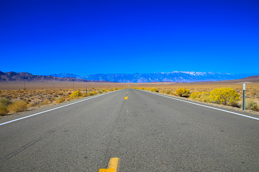 Endless road. Typical road in Nevada desert, USA.
travel adventure concept.
