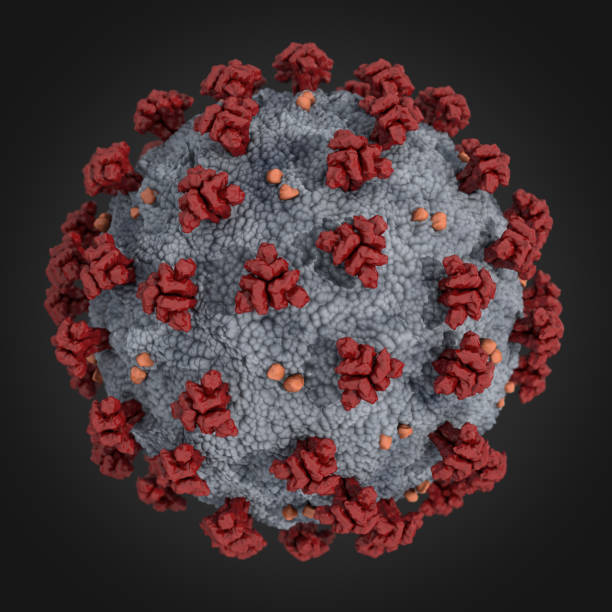 istock Corona Virus Disease COVID-19 Close Up 3d Render 1219541998