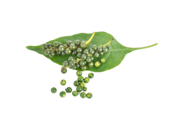 istock green peppercorns with leaf isolated on a white background 1219542366