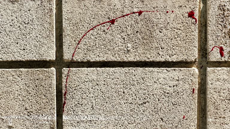 110+ Blood Splatter Wall Background Stock Videos and Royalty-Free