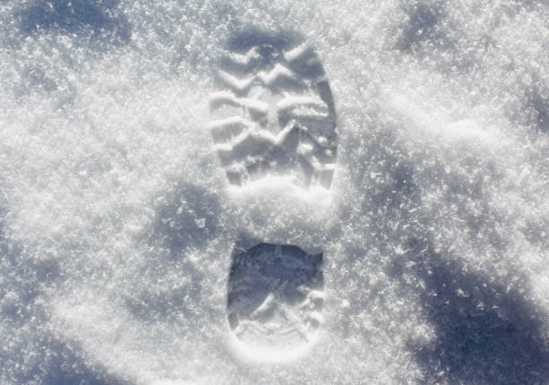 istock Footprint in the snow close up 1219544679