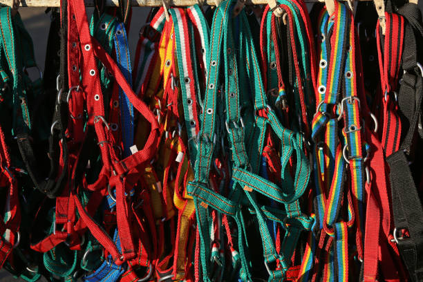 istock Pile of various colorful accessories 1219544937