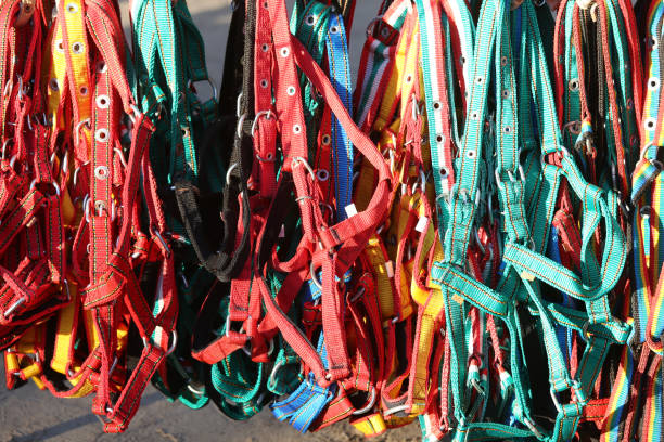 istock Pile of various colorful accessories 1219544938