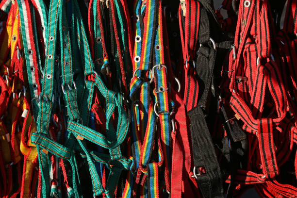 istock Pile of various colorful accessories 1219544940
