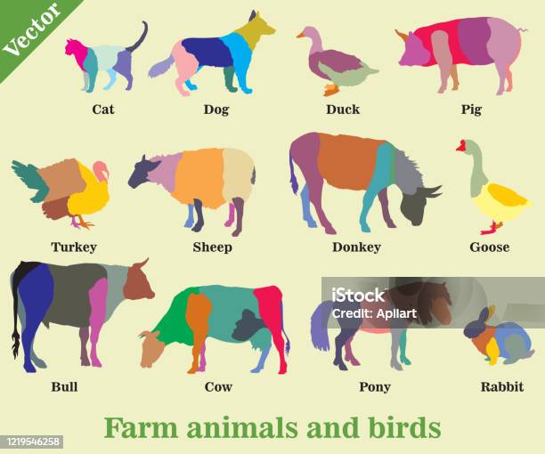 Mosaic Farm Animals And Birds Silhouettes Stock Illustration - Download  Image Now - Abstract, Animal, Animal Themes - iStock