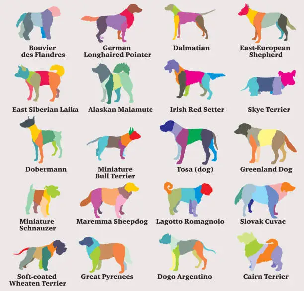 Vector illustration of Vector set of colorful mosaic dogs silhouettes-8