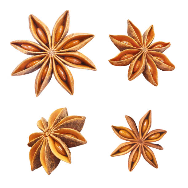 Single aniseed on white background