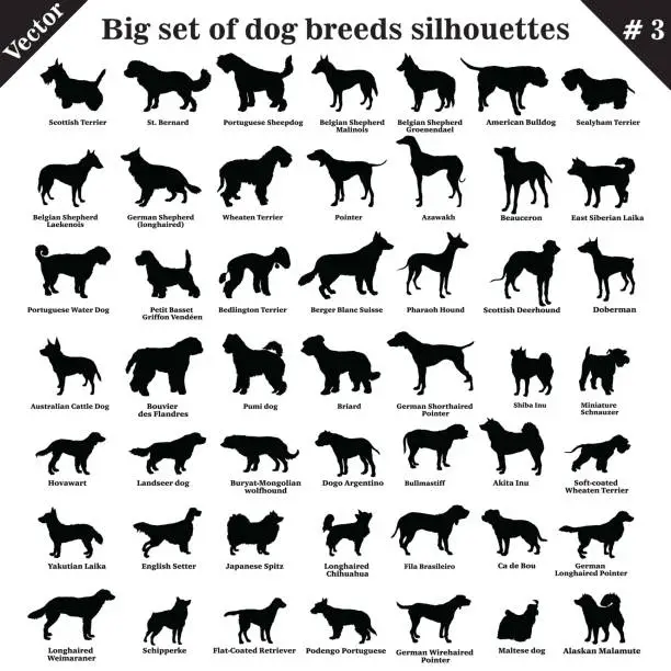 Vector illustration of Vector dogs silhouettes 3