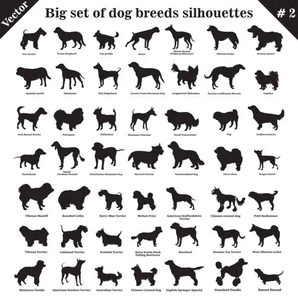 Vector illustration of Vector dogs silhouettes 2