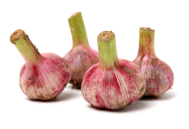 Fresh young garlic Fresh young garlic isolated on white background Relish stock pictures, royalty-free photos & images