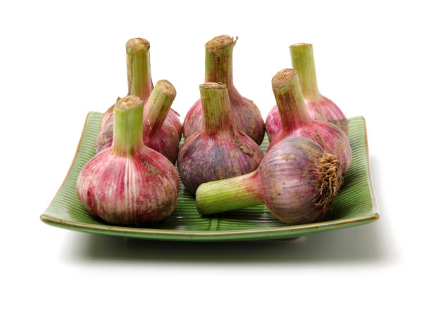 Fresh young garlic Fresh young garlic isolated on white background Relish stock pictures, royalty-free photos & images