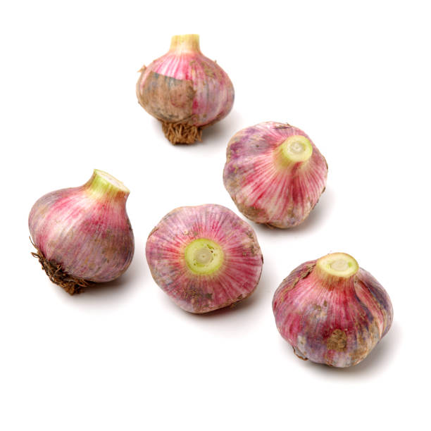 Fresh young garlic Fresh young garlic isolated on white background Relish stock pictures, royalty-free photos & images