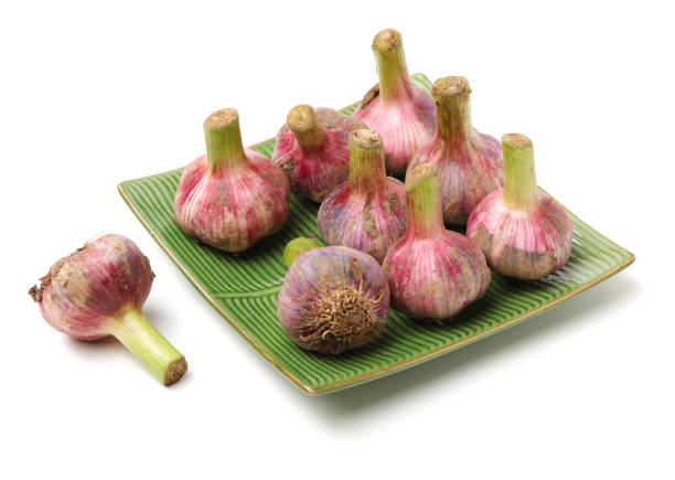 Fresh young garlic Fresh young garlic isolated on white background Relish stock pictures, royalty-free photos & images