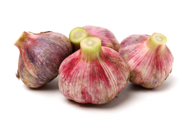 Fresh young garlic Fresh young garlic isolated on white background Relish stock pictures, royalty-free photos & images