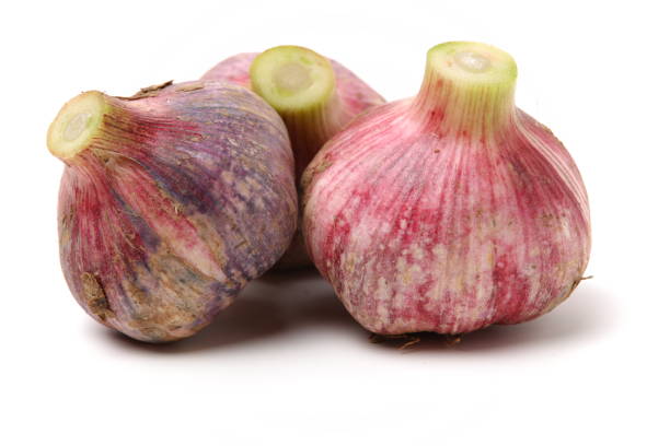 Fresh young garlic Fresh young garlic isolated on white background Relish stock pictures, royalty-free photos & images