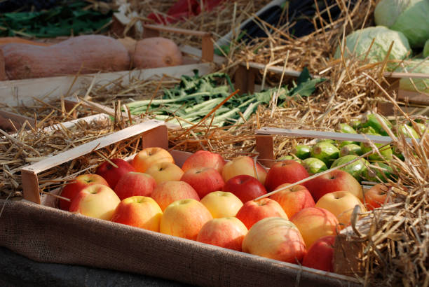 istock Box of Red Apples 1219553432